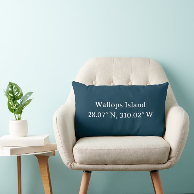 City Coordinates Throw Pillow | Navy (Chair)
