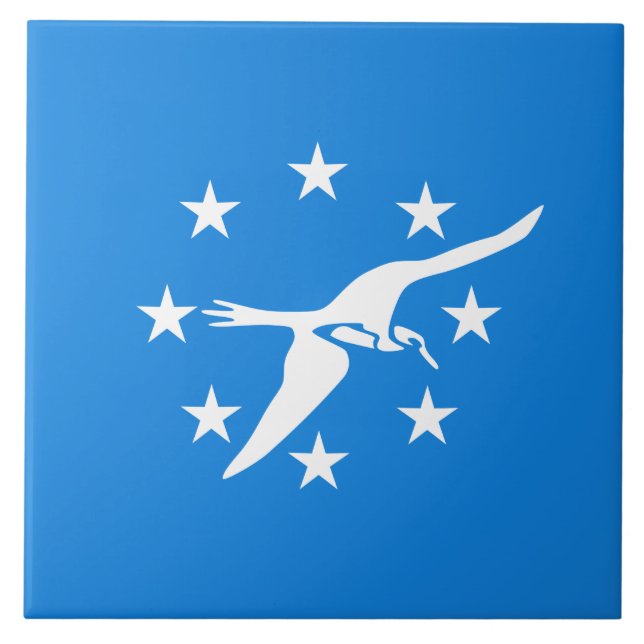 City Flag of Corpus Christi (Texas) Ceramic Tile (Front)