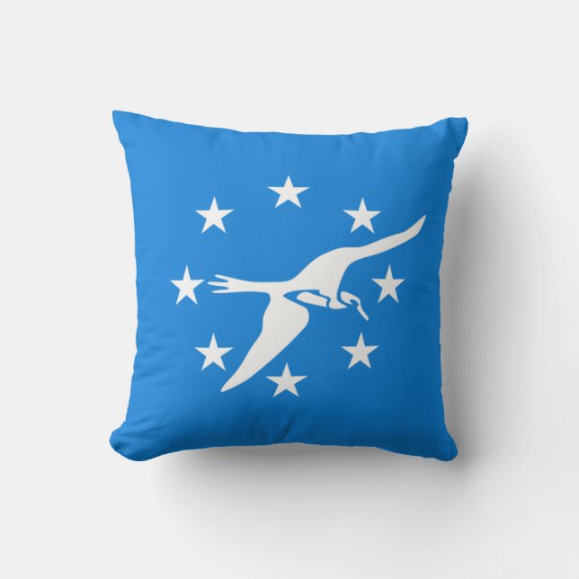 City Flag of Corpus Christi (Texas) Cushion (Front)