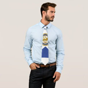 City Flag of Houston (Texas) Tie
