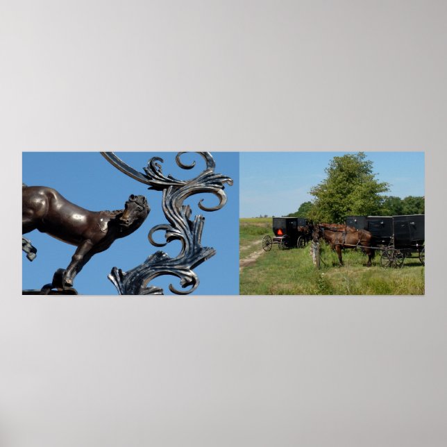 City Horse, Country Horses Poster (Front)