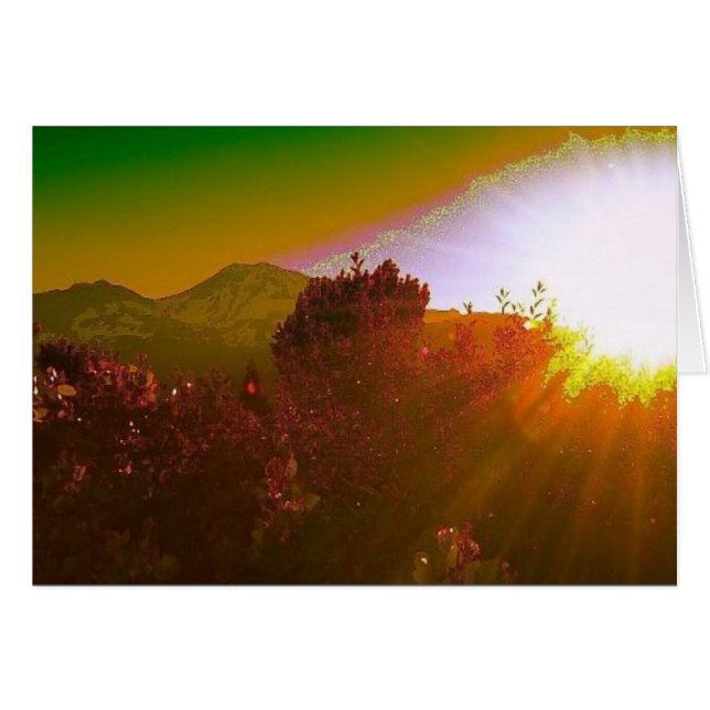 City of Light (Front Horizontal)