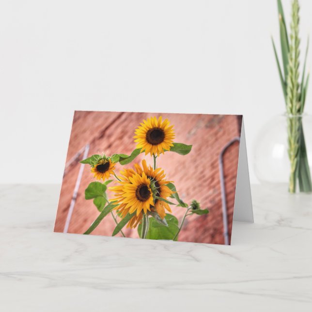 City Sunflowers Note Cards (Front)