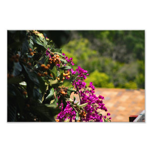 City Terrace Photo Print