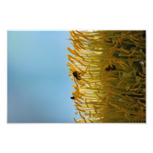 City Terrace Photo Print