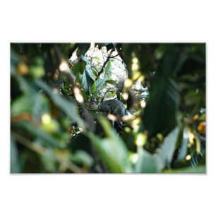 City Terrace Photo Print