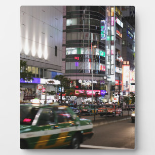 City Tokyo Street View Plaque