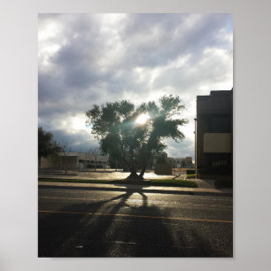 City Tree Poster
