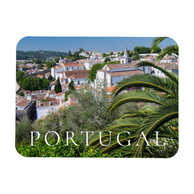 Cityscape of Aveiro, Portugal Magnet (Horizontal)