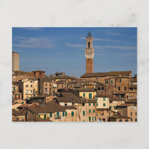 Cityscape of Siena Postcard