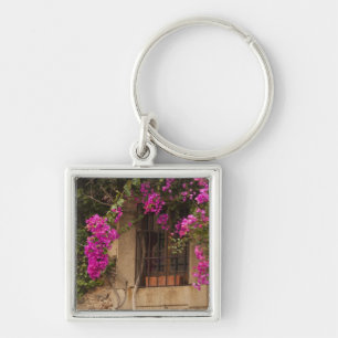 Ciudad Monumental, flower-covered buildings Key Ring