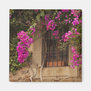 Ciudad Monumental, flower-covered buildings Magnet