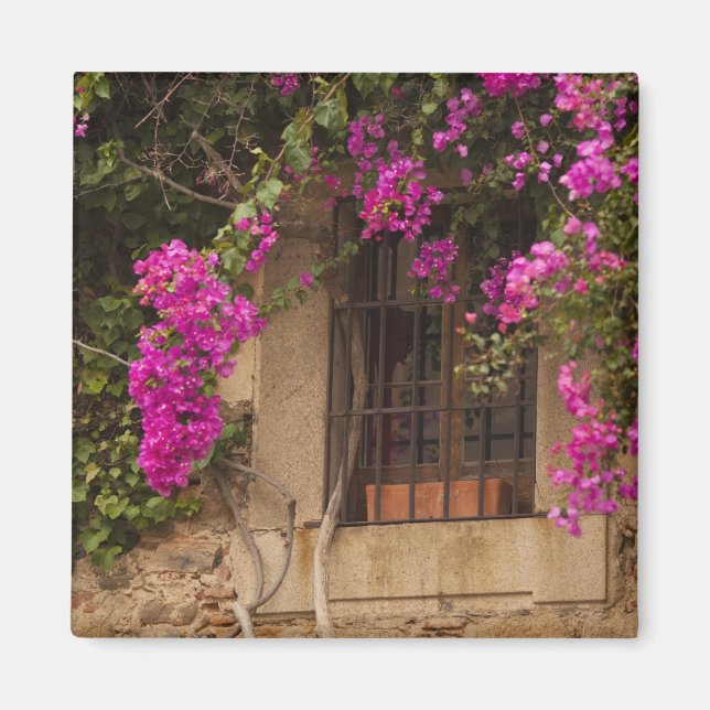 Ciudad Monumental, flower-covered buildings Magnet (Front)