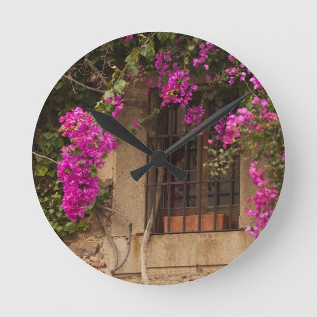 Ciudad Monumental, flower-covered buildings Round Clock (Front)