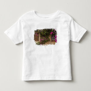 Ciudad Monumental, flower-covered buildings Toddler T-Shirt