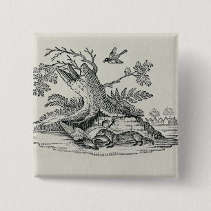 Civet with Cockerel from 'History of Quadrupeds' 15 Cm Square Badge