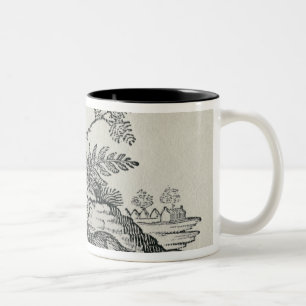 Civet with Cockerel from 'History of Quadrupeds' Two-Tone Coffee Mug