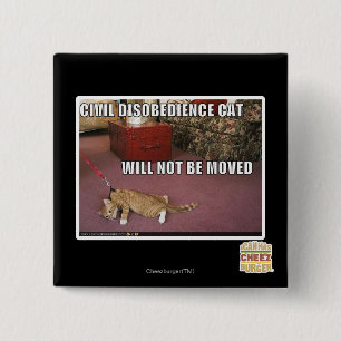 Civil Disobedience Cat 15 Cm Square Badge