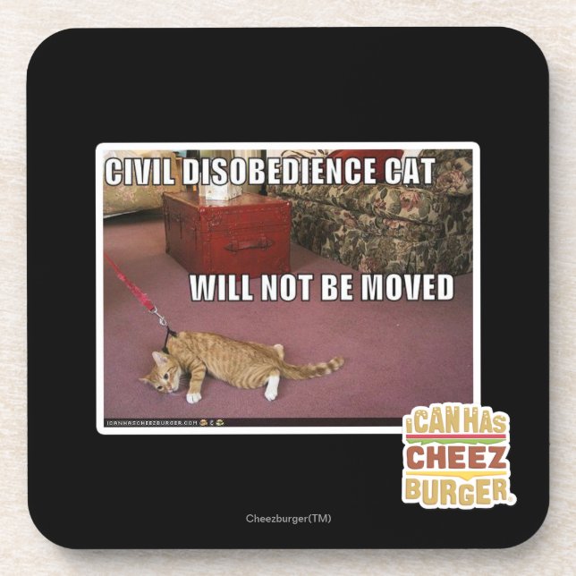 Civil Disobedience Cat Coaster (Front)