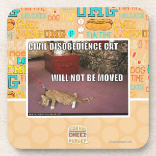 Civil Disobedience Cat Coaster