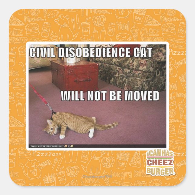 Civil Disobedience Cat Square Sticker (Front)