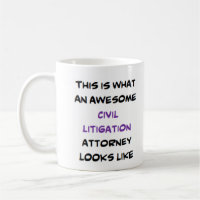 civil litigation attorney, awesome