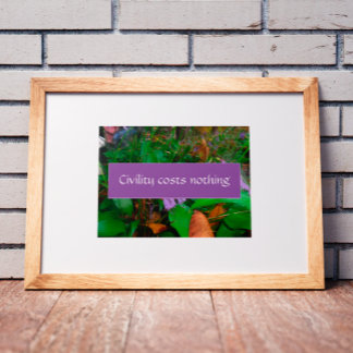 Civility costs nothing  wisdom saying photo poster