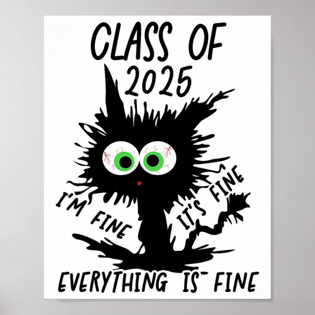 Cl Of 2025 Funny Black Cat  Poster (Front)
