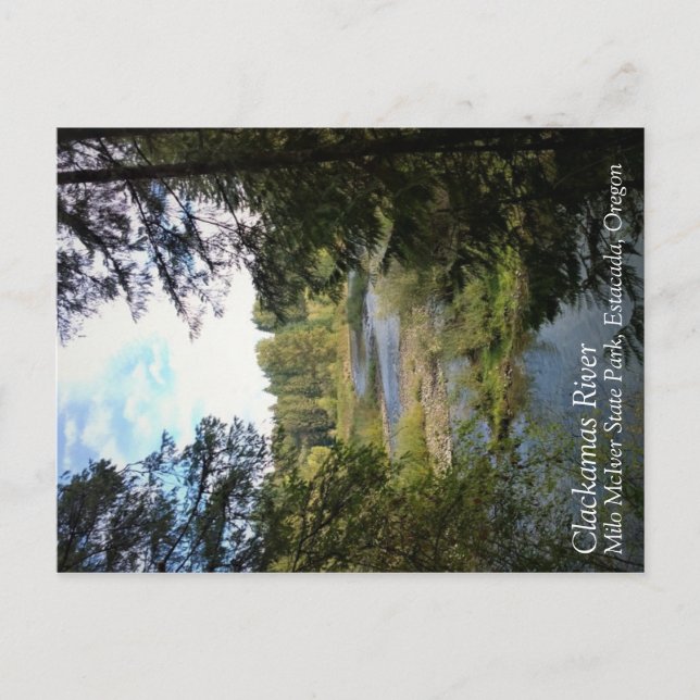 Clackamas River, Oregon Postcard (Front)