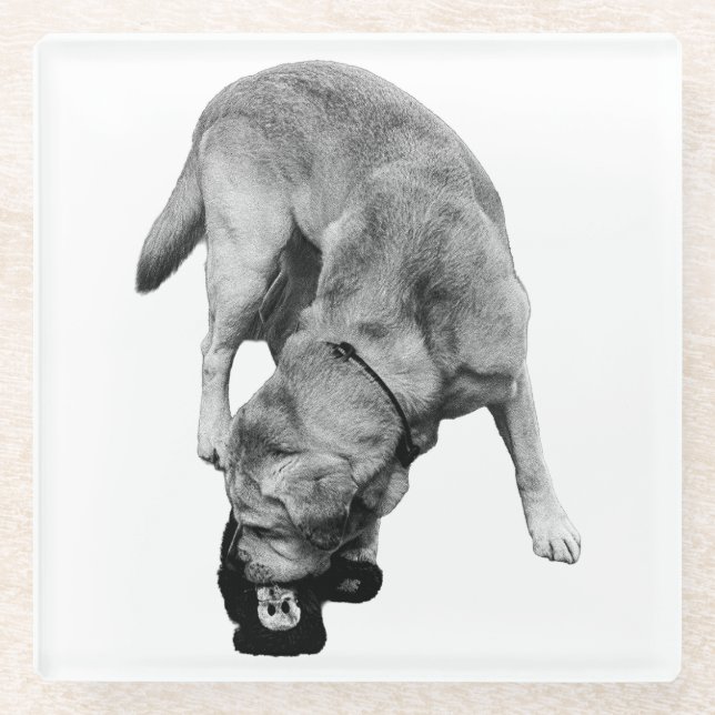 Claimed It – Labrador With Plush Glass Coaster (Front)