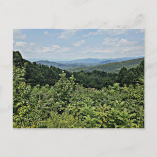 Clair - Shenandoah National Park Postcard