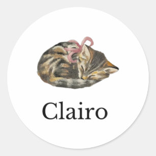 Clairo Says A Cat 1 Classic Round Sticker