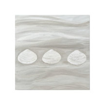 Clam Shell Trio Canvas Art
