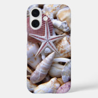 Clam Shells