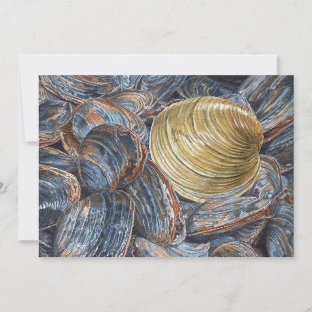 Clams and Quahog Art Postcard (Front)