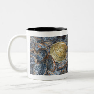 Clams and Quahog Shell Two-Tone Coffee Mug