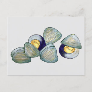 Clams Clambake Rhode Island New England Seafood Postcard