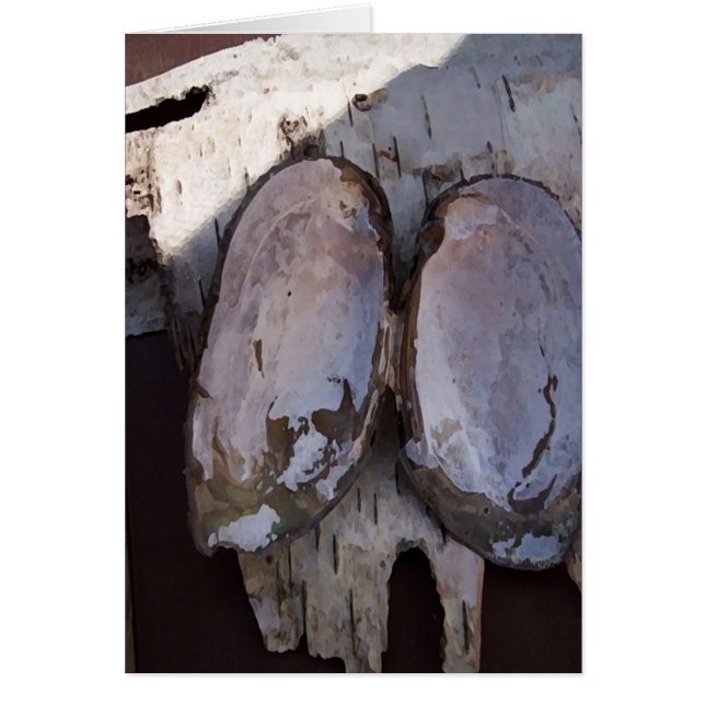 Clamshell Wings (Front)