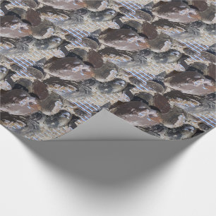 Clamshells Wrapping Paper