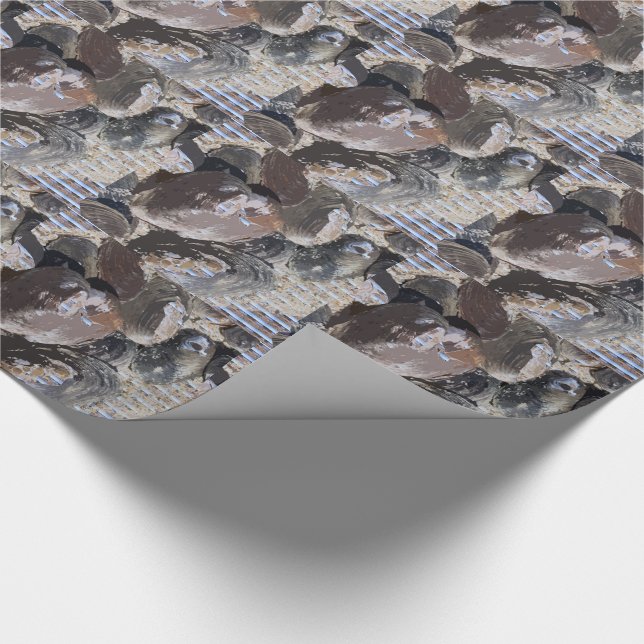 Clamshells Wrapping Paper (Corner)