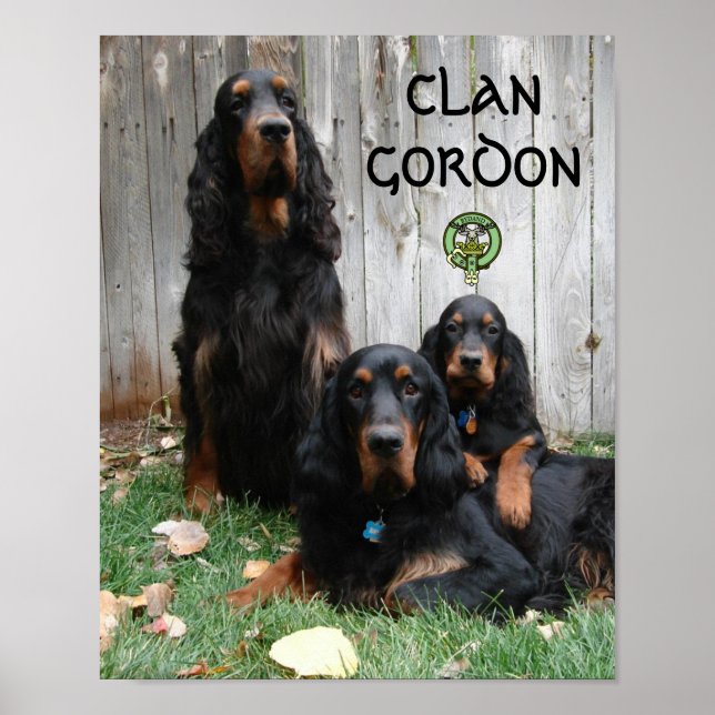 CLAN GORDON Gordon Setter Generations Poster (Front)
