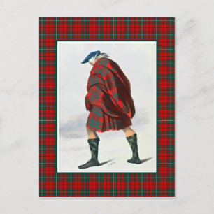 Clan MacAulay Vintage Illustration Tartan Frame Postcard