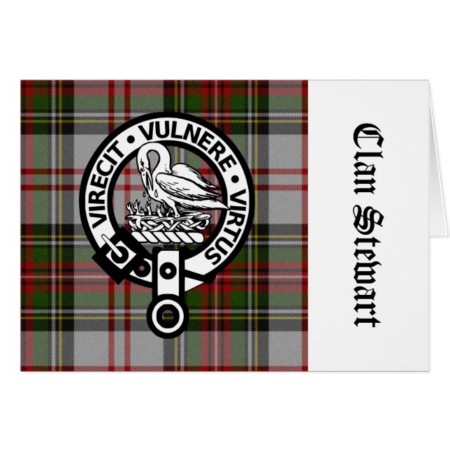 Clan Stewart Crest & Tartan (Front Horizontal)