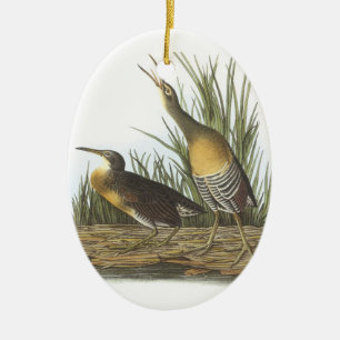 Clapper Rail by Audubon Ceramic Ornament