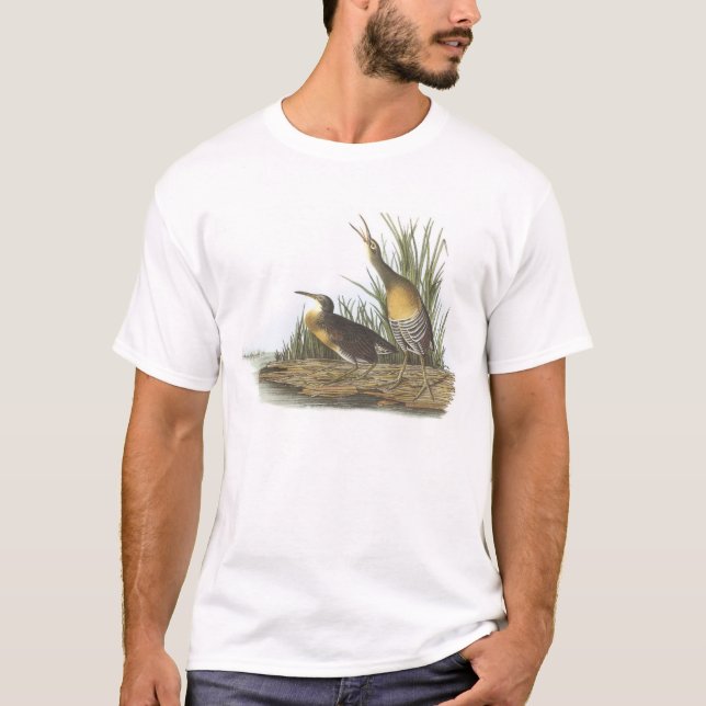 Clapper Rail by Audubon T-Shirt (Front)