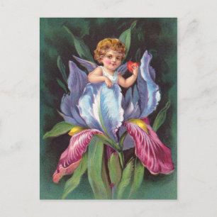 Clapsaddle: Flower Cherub Iris Postcard