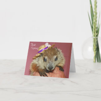 Clara Groundhog Day Card
