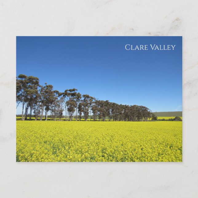 clare canola valley postcard (Front)
