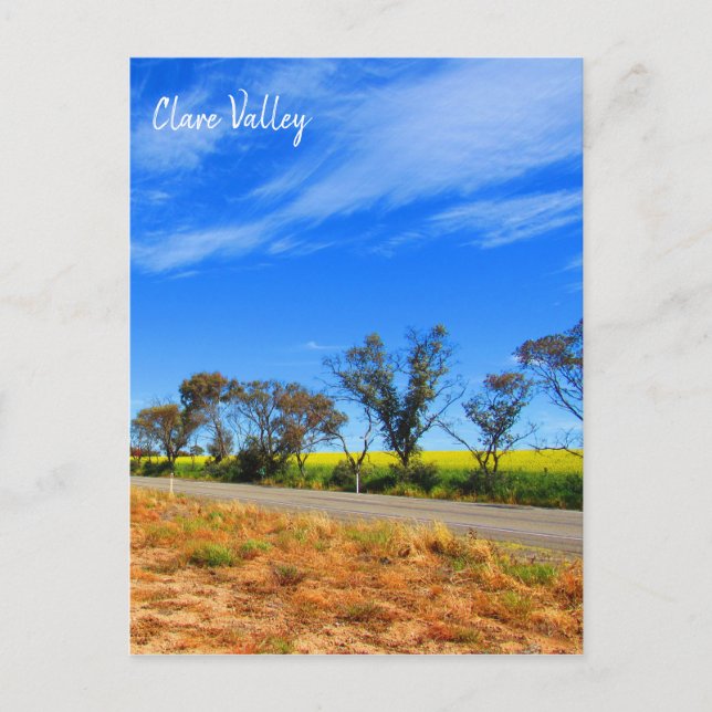 clare valley canola road postcard (Front)