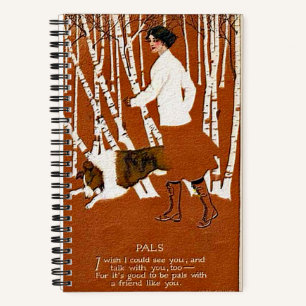 "Clarence Coles Phillips 1880-1927" Notebook